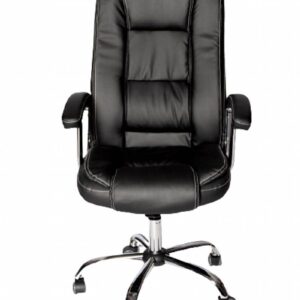 Comfortable Executive Office Chair With Arm Rest
